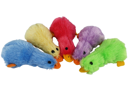 Multipet Duckworth
