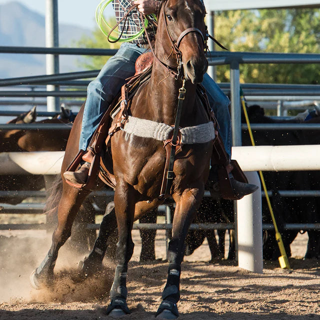 Weaver Gray Alpaca Breast Collar