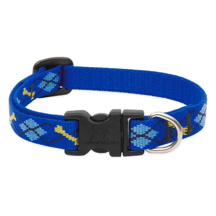 Lupine Collar in Dapper Dog