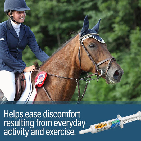 Absorbine Bute-Less® Comfort & Recovery Supplement Paste