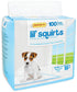 Ruffin' It Lil' Squirts Dog Training Pad