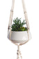 Primitive Planters 60" 2-Tier Woven Plant Hanger