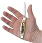 Case Peach Seed Jig Amber Bone Carbon Steel Medium Stockman with Pen Blade