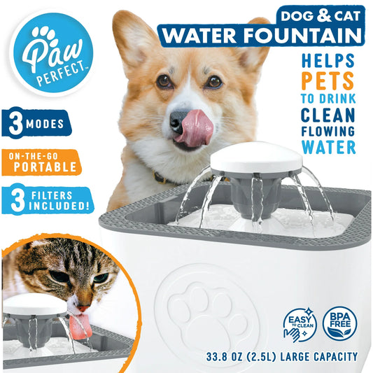 Paw Perfect Pet Water Fountain