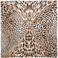 Wyoming Traders 20" Leopard #5 Charmeuse Silk Wild Rag
