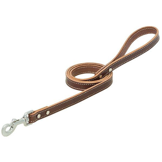 Terrain Dog Bridle Leather Dog Leash