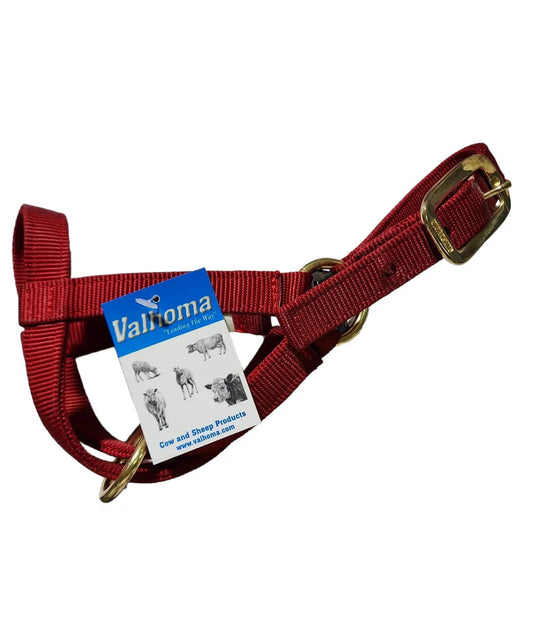 Valhoma Goat Halter