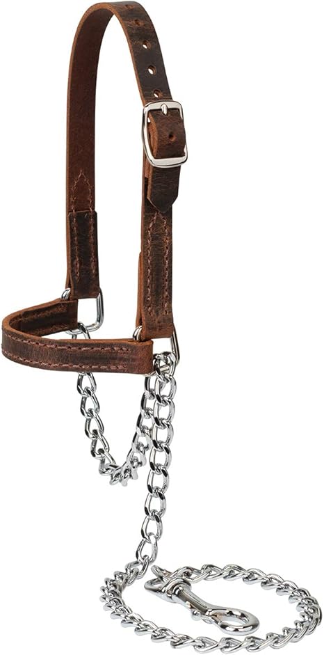 Water Buffalo Leather Goat Halter, Large