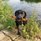 Chuckit! Ultra Fetch Stick