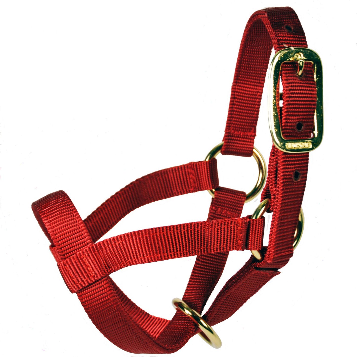 Valhoma Goat Halter
