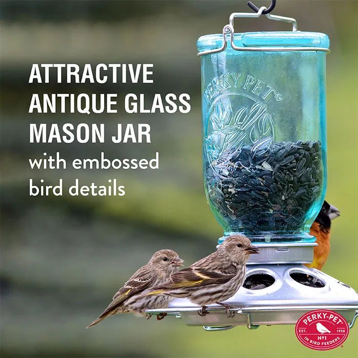 Perky-Pet Mason Jar Wild Bird Feeder