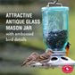 Perky-Pet Mason Jar Wild Bird Feeder