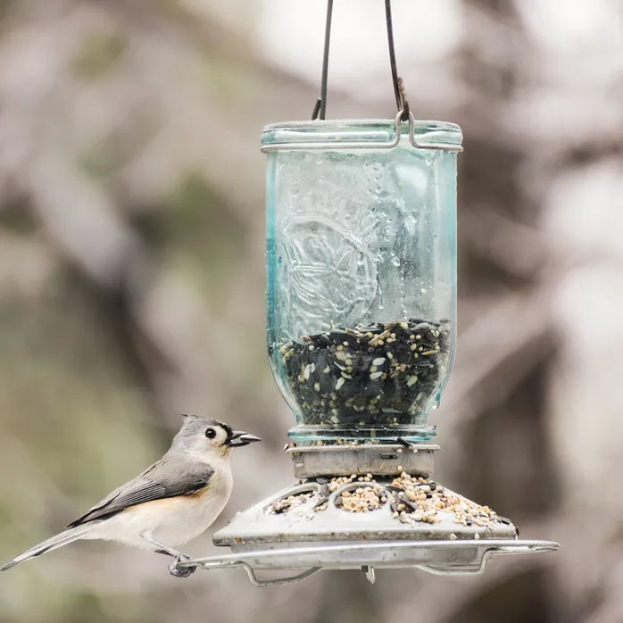 Perky-Pet Mason Jar Wild Bird Feeder