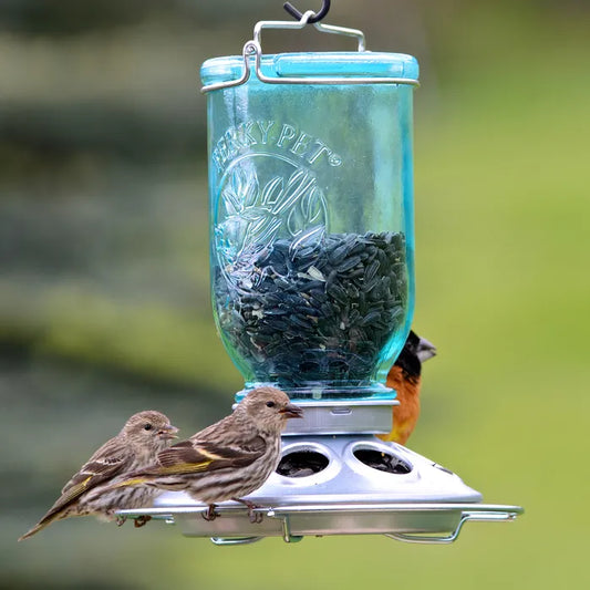 Perky-Pet Mason Jar Wild Bird Feeder