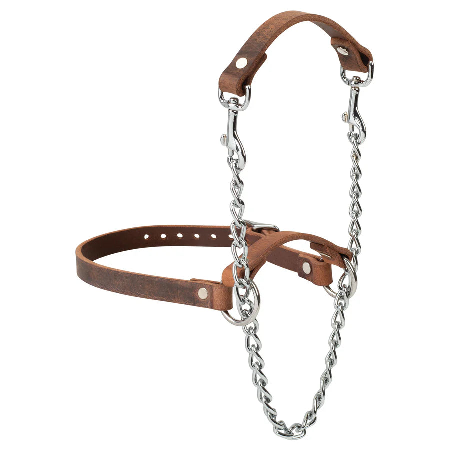 Weaver Total Control Leather Goat Halter