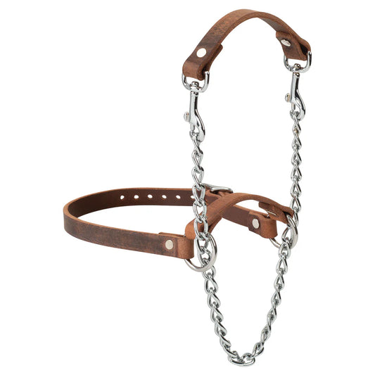 Weaver Total Control Leather Goat Halter