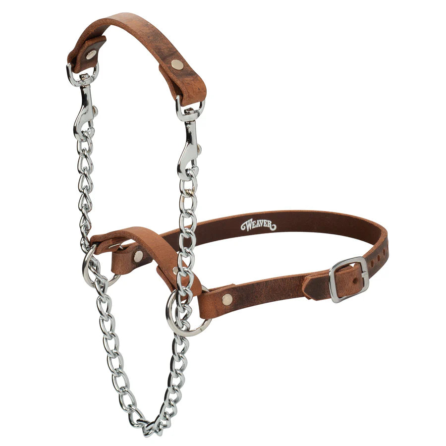 Weaver Total Control Leather Goat Halter