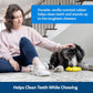 PetSafe Frosty Cone