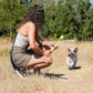 Chuckit! Mini Ball Sport Launcher 14" - Small