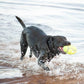 Kong AirDog Squeaker Football