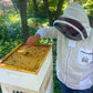 Harvest Lane Honey Standard Hive Tool