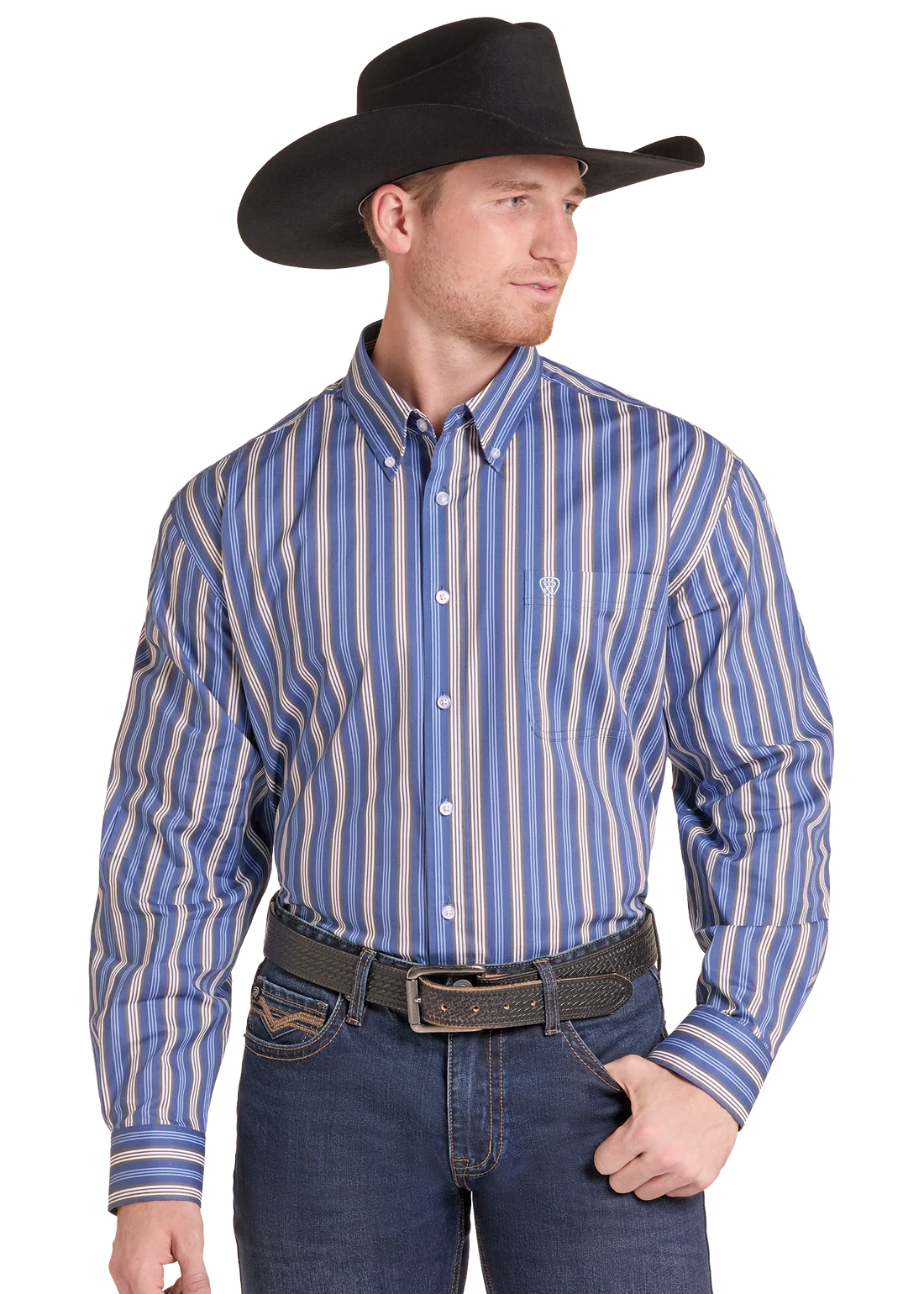 Blue Stripe Print Long Sleeve Button Shirt