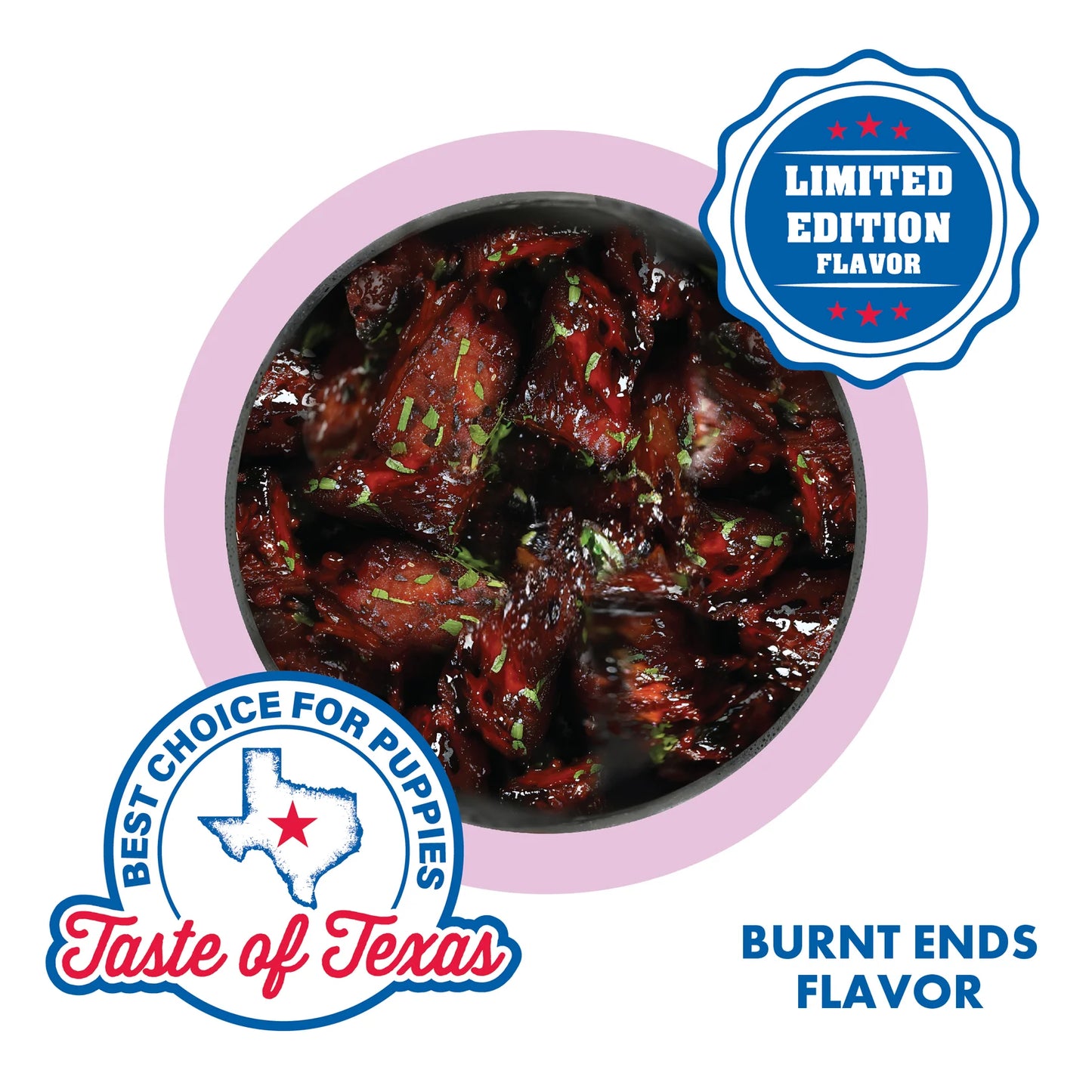 N-Bone Puppy Teething Rings Taste of Texas-Burnt Ends Flavor