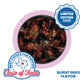 N-Bone Puppy Teething Rings Taste of Texas-Burnt Ends Flavor