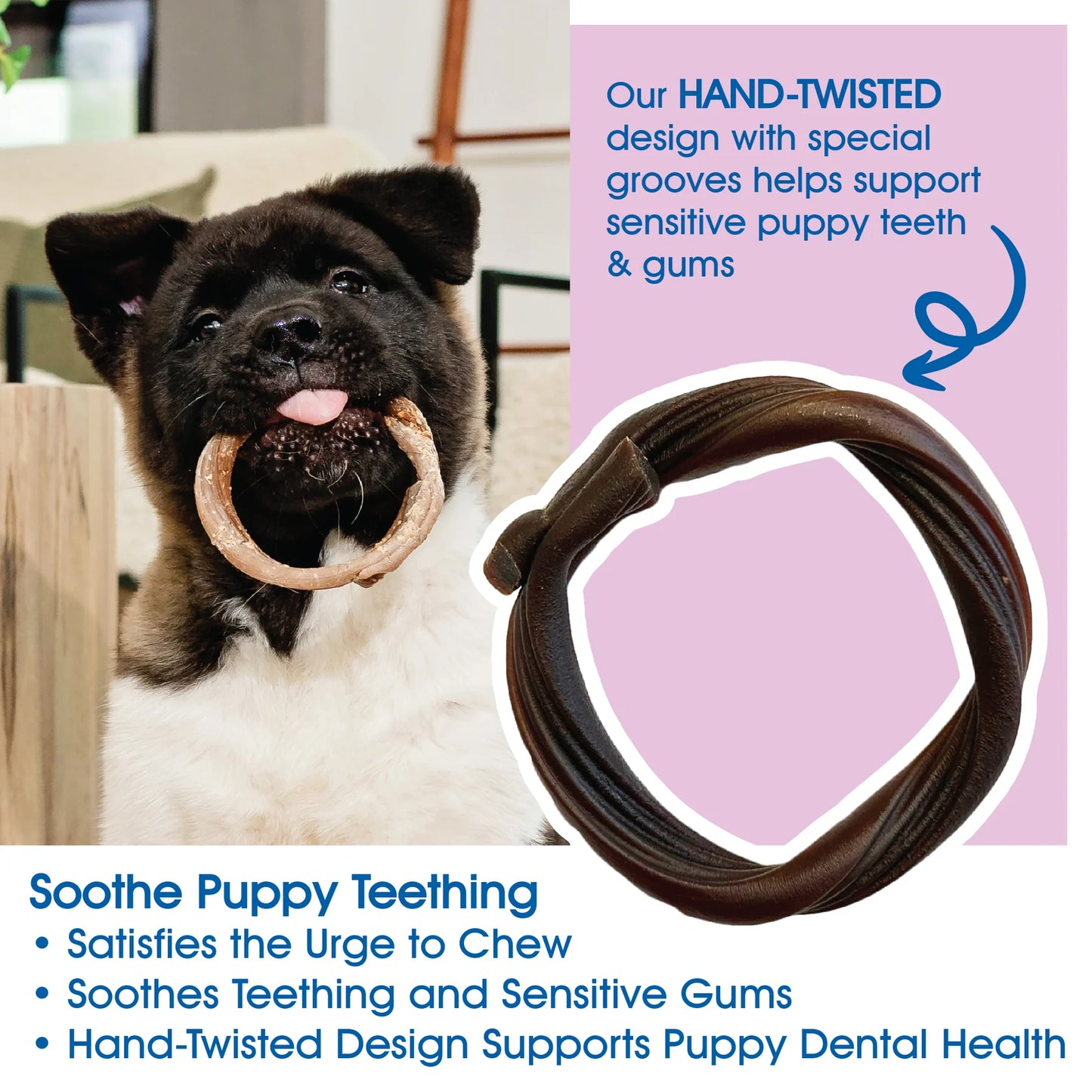 N-Bone Puppy Teething Rings Taste of Texas-Burnt Ends Flavor