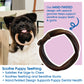 N-Bone Puppy Teething Rings Taste of Texas-Burnt Ends Flavor