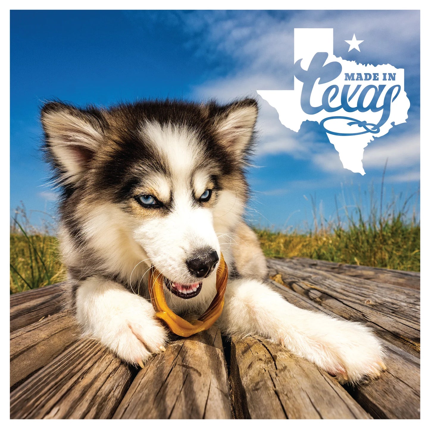 N-Bone Puppy Teething Rings Taste of Texas-Burnt Ends Flavor