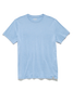 Flag & Anthem Essential Stretch Comfort Crewneck Tee in Light Blue Heather