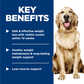 Adult Perfect Weight Hearty Vegetable & Chicken Stew Dog Food