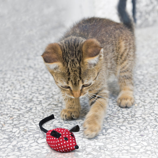 Kong Softies Mice 2-Pack