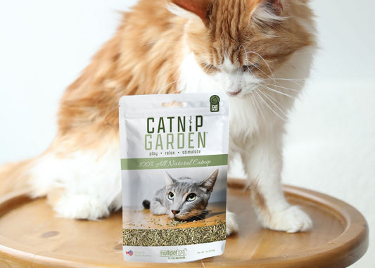 Catnip Garden 1 Ounce Bag Catnip