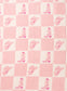 Pink Rodeo Checkered Blanket