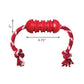 Kong Dental with Rope