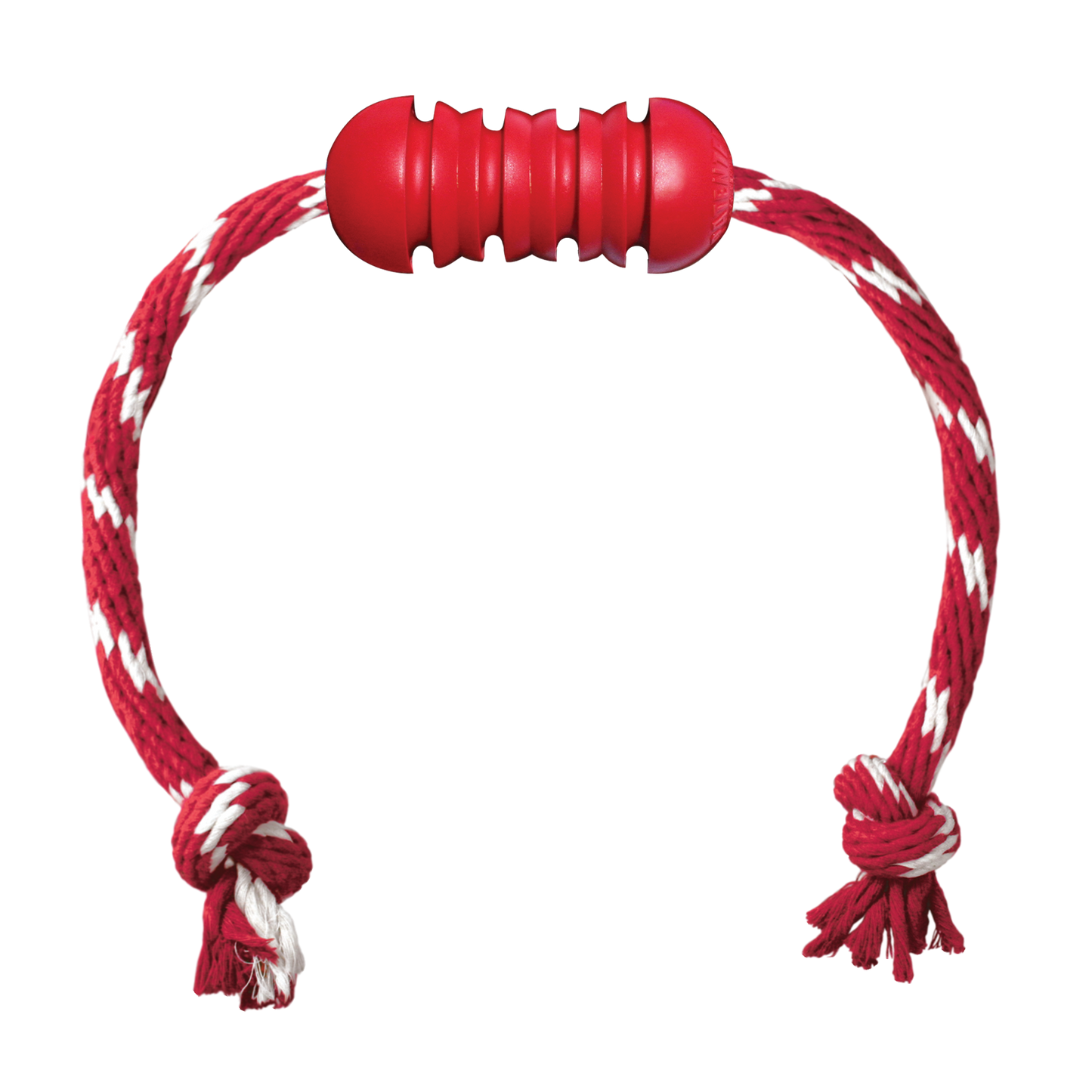 Kong Dental with Rope