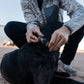 Burlebo Dog Collar in Gauge Camo