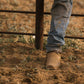 Hyer Maize Sunrise Retan Punchy Square Toe Cowboy Boots