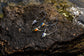 6th Sense Axle Swimbait Jig Heads - Raw