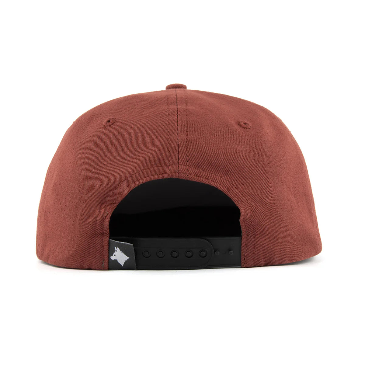 Raised By Coyotes Ascend Snapback