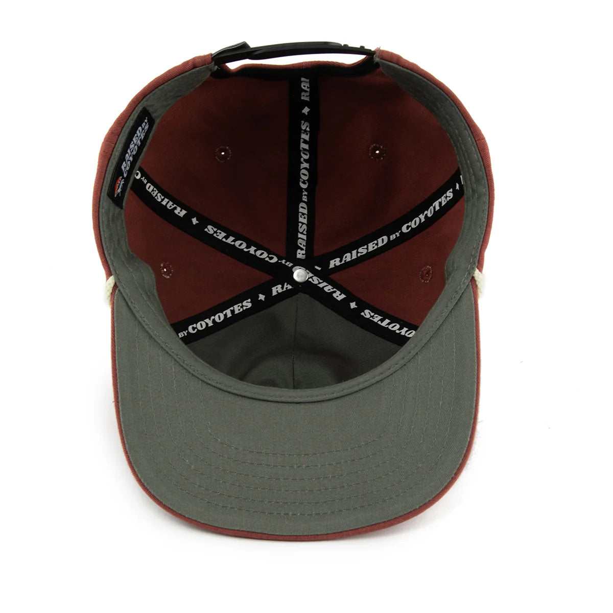 Raised By Coyotes Ascend Snapback