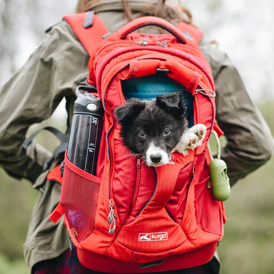 Kurgo G-Train Dog Carrier Backpack in Chili Red