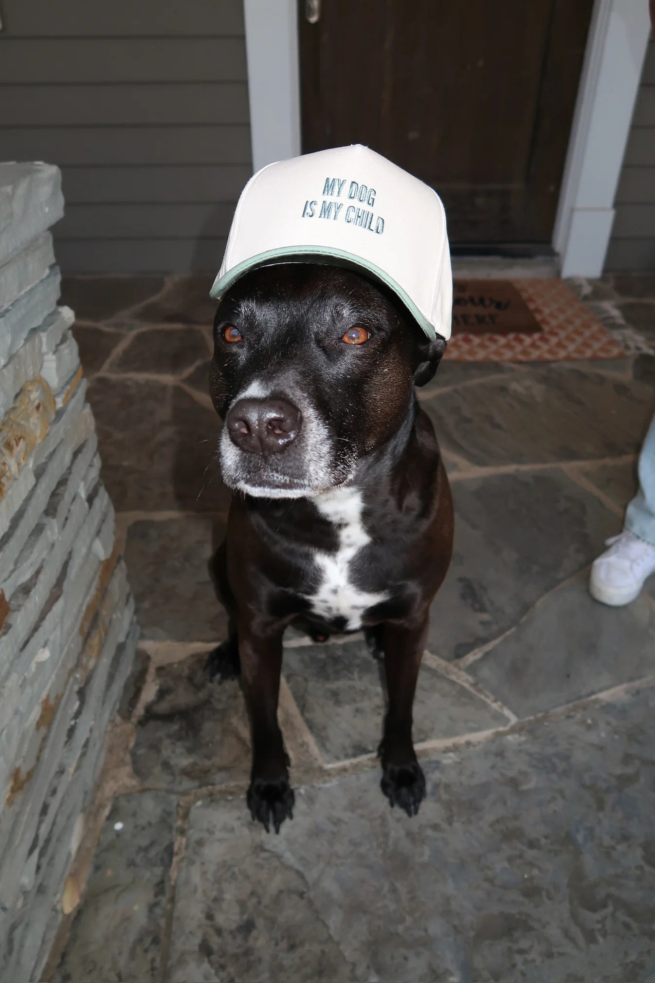 My Dog is My Child Trucker Hat