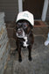 My Dog is My Child Trucker Hat