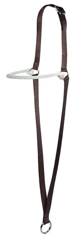 Professional's Choice Web War Bonnet with Lariat Rope