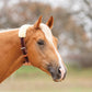 Professional's Choice The Dare Cribbing Control Collar