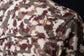 Ferrell Camo Lite Short Sleeve Snap