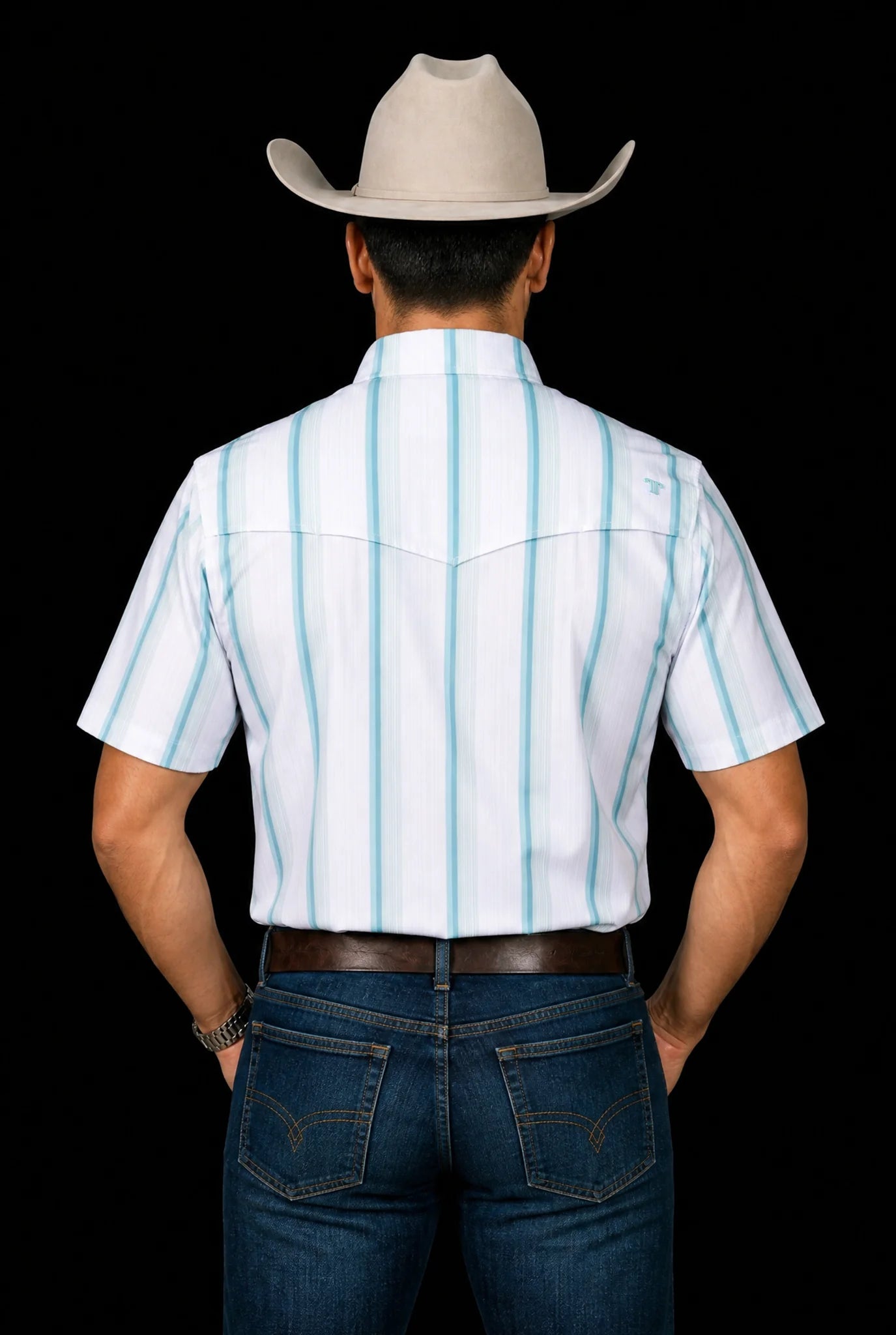 Ferrell The Tristan in Short Sleeve Pearl Snap Shirt in Grey Green